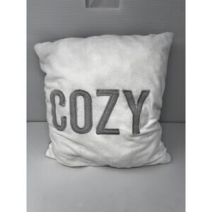 COZY soft Pillow Pre-Owned in fair condition 15 x 15 soft fabric